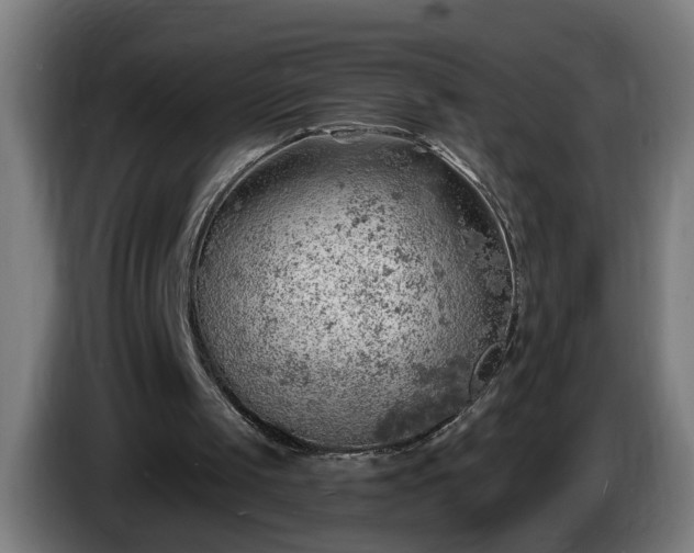 X0000086000049200703300957