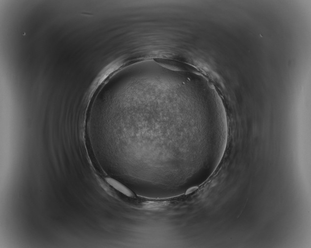 X0000086000051200703300957