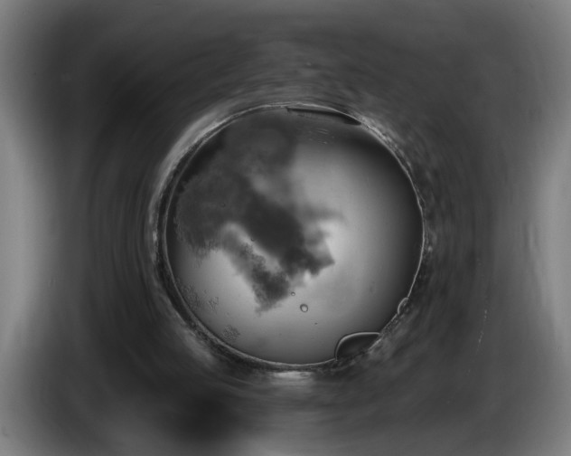 X0000086000053200703300957