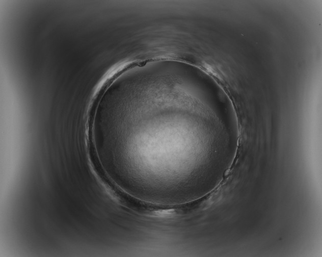 X0000086000054200703300957