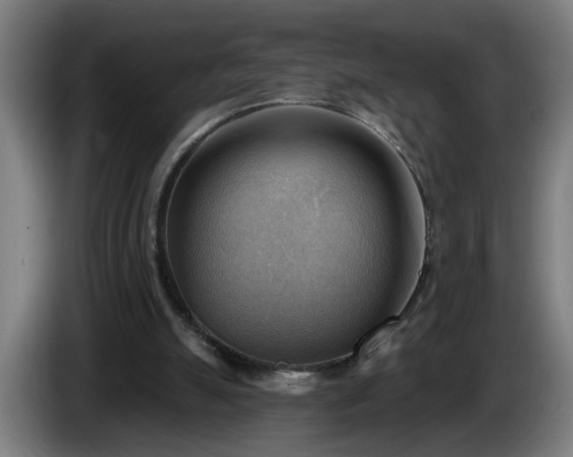 X0000086000055200703300957