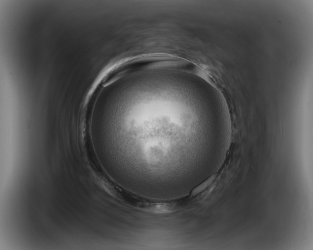 X0000086000056200703300957