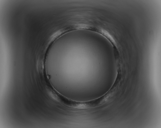 X0000086000059200703300957