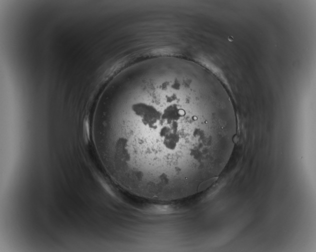 X0000086000061200703300957