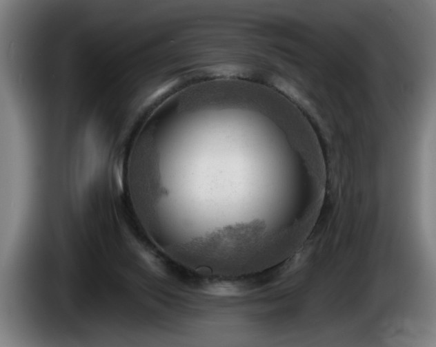 X0000086000062200703300957