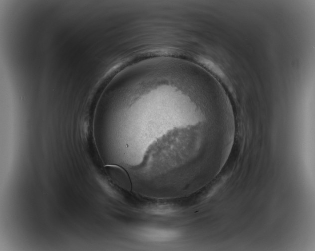 X0000086000063200703300957