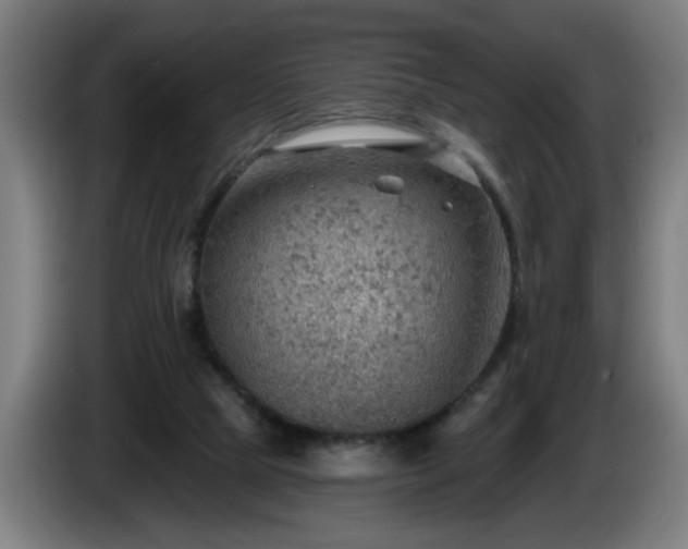 X0000086000065200703300957