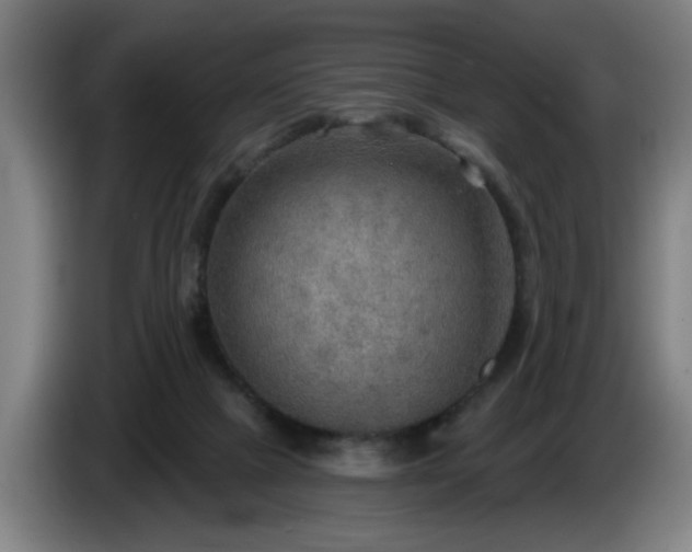 X0000086000073200703300957