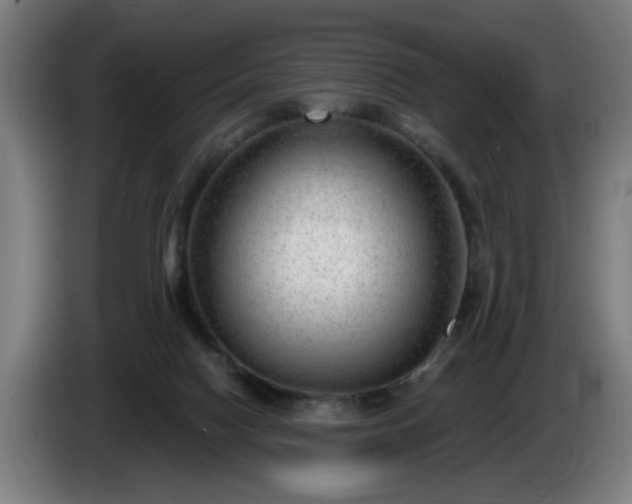 X0000086000074200703300957