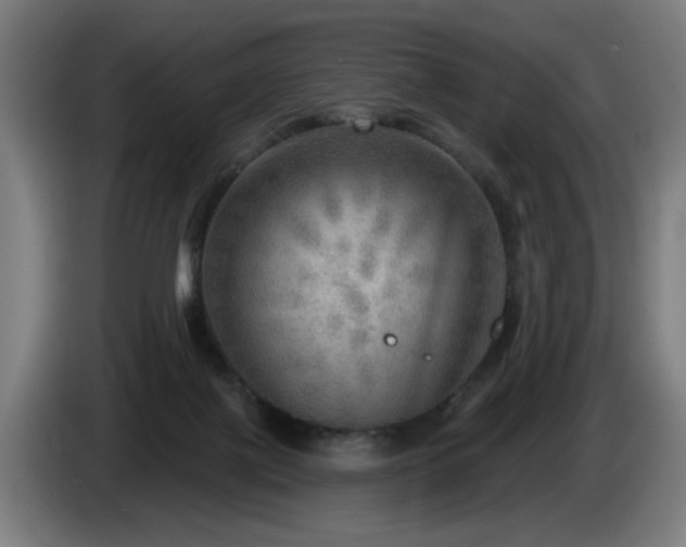 X0000086000075200703300957