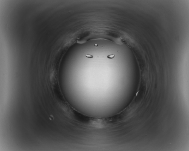 X0000086000079200703300957