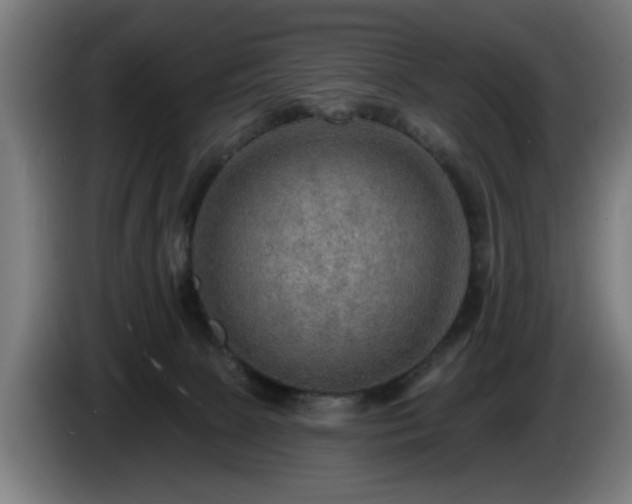 X0000086000081200703300957