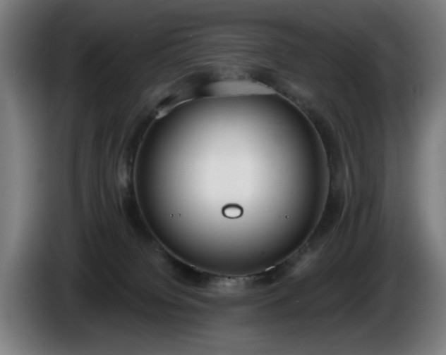 X0000086000084200703300957