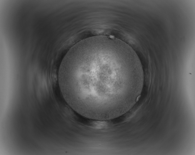 X0000086000085200703300957