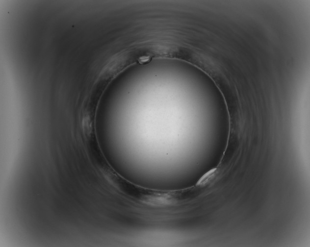 X0000086000086200703300957