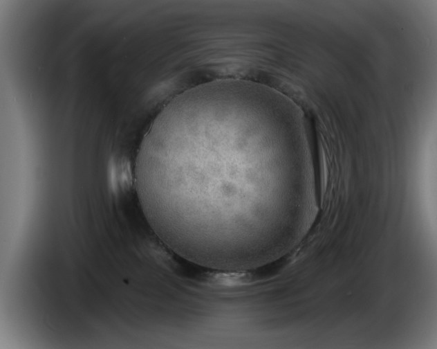 X0000086000089200703300957