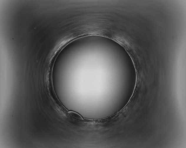 X0000086000098200703300957