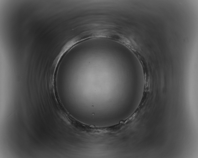 X0000086000099200703300957