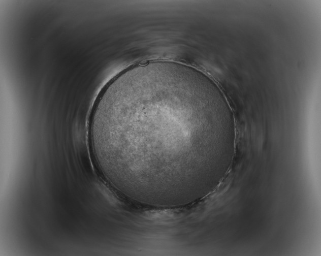 X0000086000100200703300957