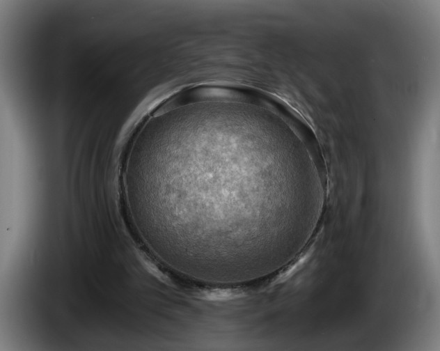 X0000086000101200703300957