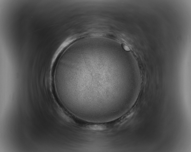 X0000086000102200703300957