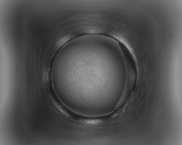 X0000086000105200703300956