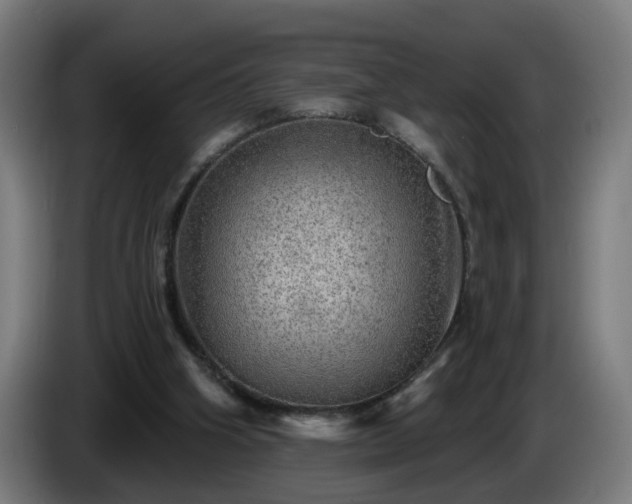 X0000086000106200703300956