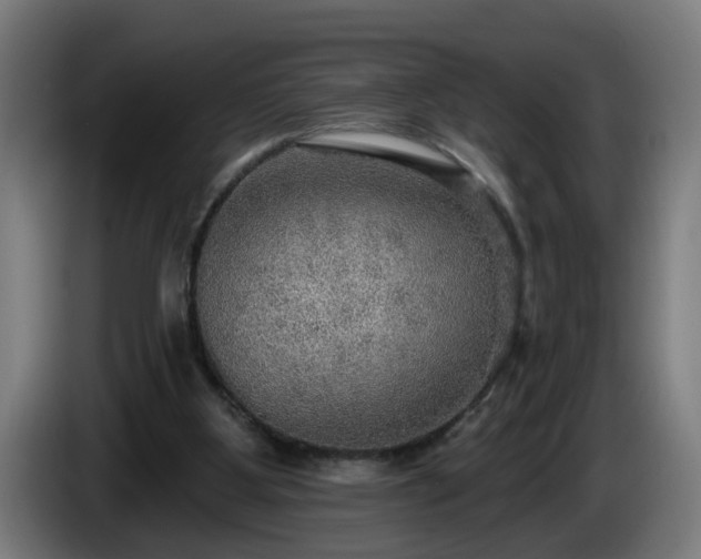 X0000086000107200703300956