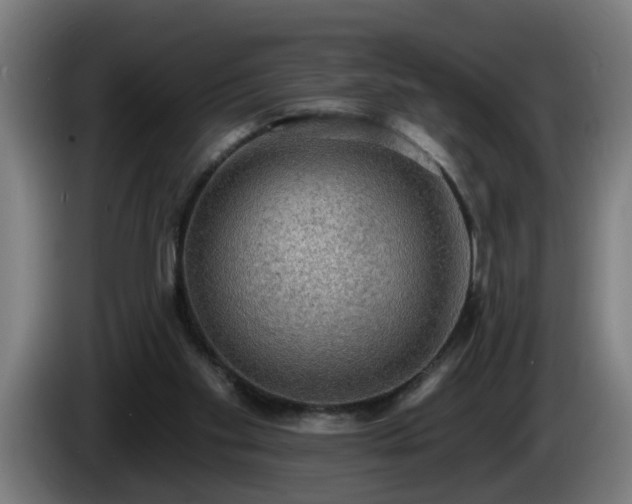 X0000086000109200703300956