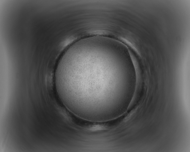 X0000086000111200703300956