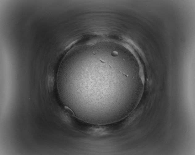 X0000086000113200703300956