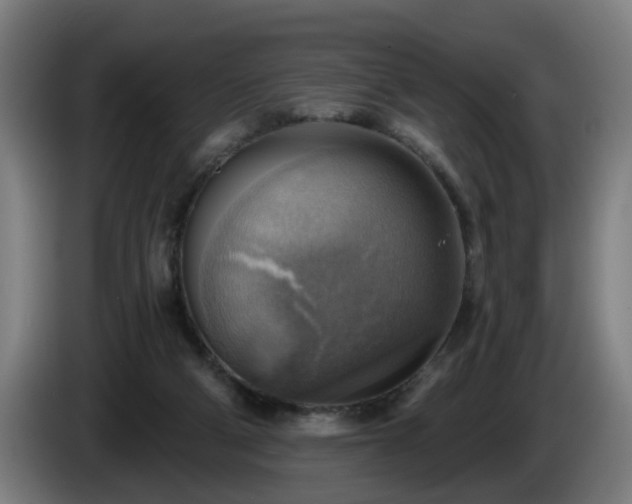 X0000086000114200703300956