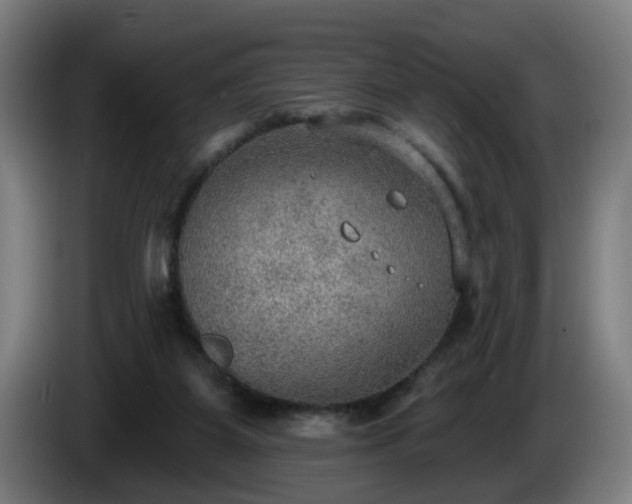 X0000086000115200703300956