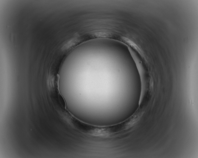 X0000086000117200703300956