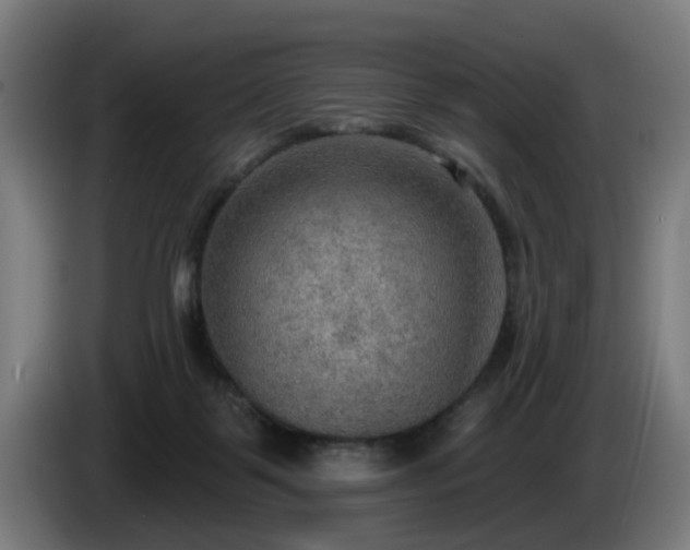 X0000086000123200703300956