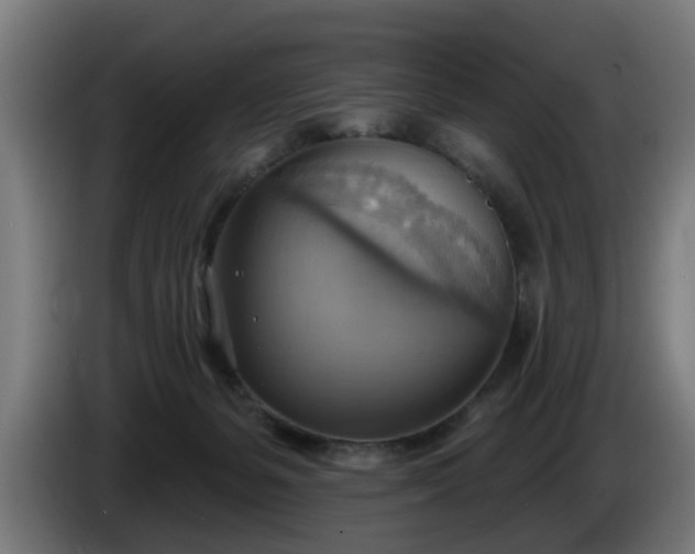 X0000086000127200703300956