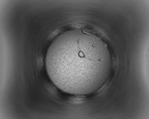 X0000086000128200703300956