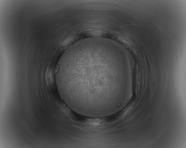 X0000086000131200703300956