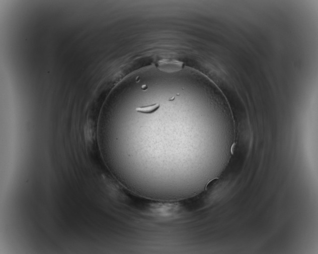 X0000086000135200703300956