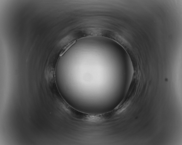 X0000086000141200703300956