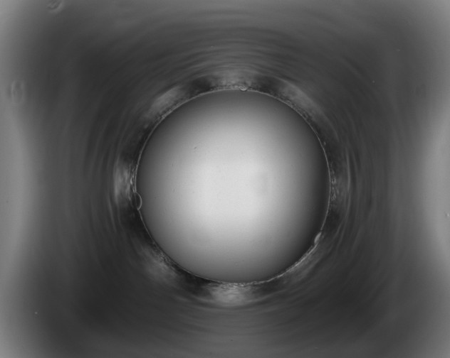 X0000086000142200703300956