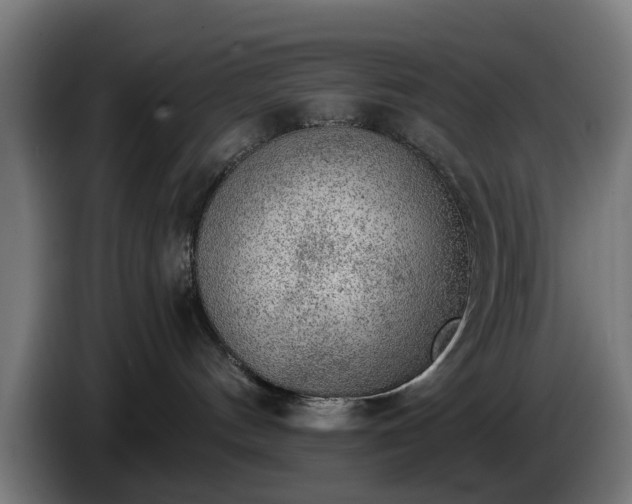 X0000086000144200703300956