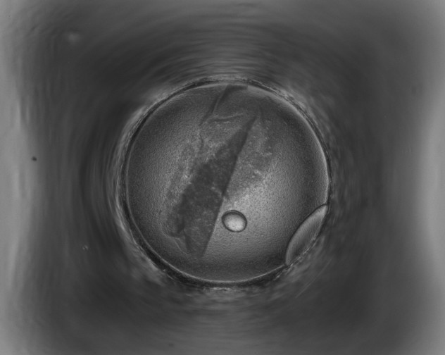 X0000086000145200703300955