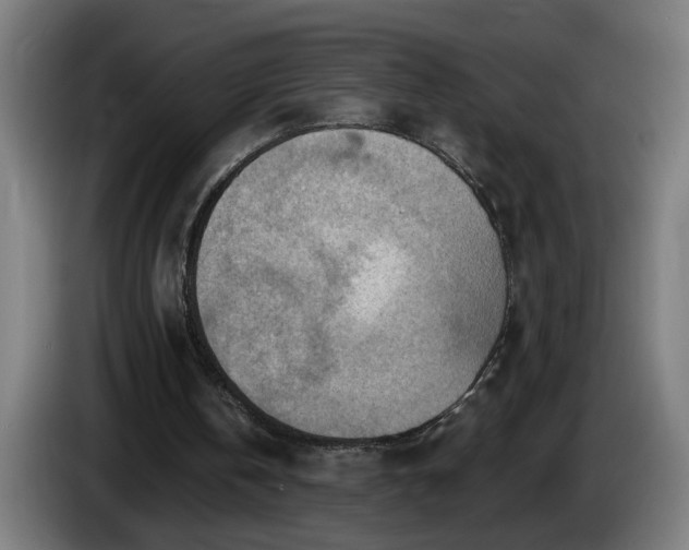 X0000086000146200703300955