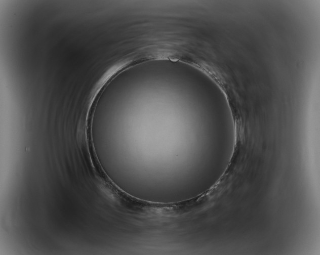 X0000086000147200703300955