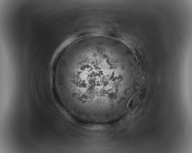 X0000086000149200703300955