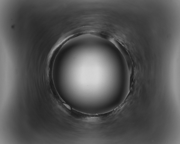 X0000086000150200703300955