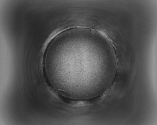 X0000086000151200703300955