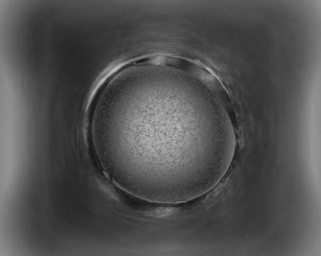 X0000086000152200703300955