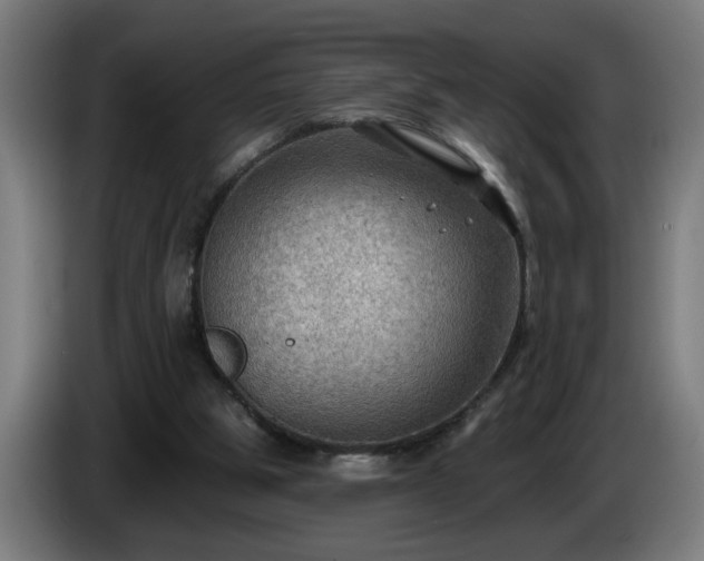 X0000086000153200703300955